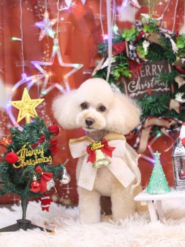 20231228ランチちゃん 